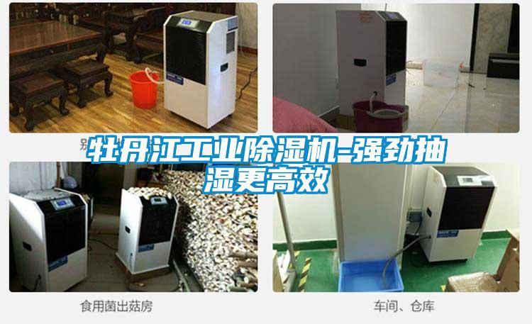 欧美黄色性爱视频网站 牡丹江工业除湿机-强劲抽湿更高效