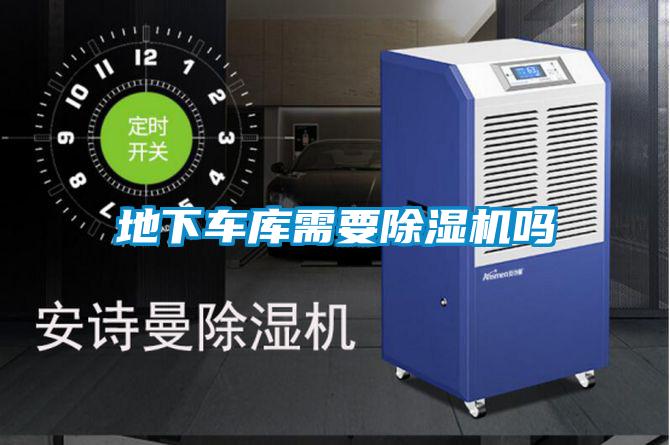 欧美黄色电影在线播放 地下车库需要除湿机吗