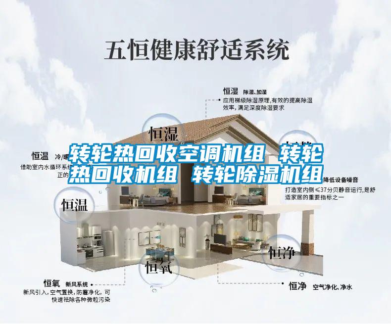 欧美黄色电影在线播放 转轮热回收空调机组 转轮热回收机组 转轮除湿机组