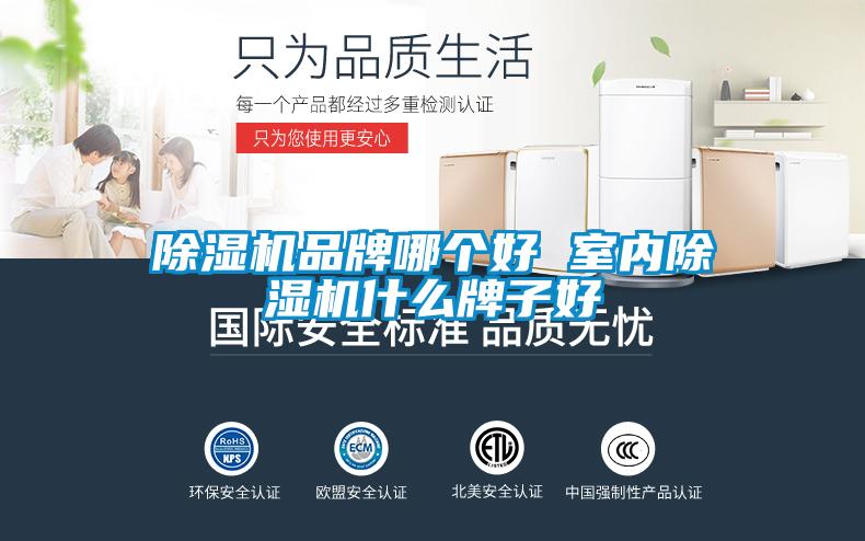 欧美成色手机在线观看 除湿机品牌哪个好 室内除湿机什么牌子好