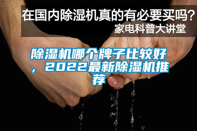 欧美黄色性爱视频网站 除湿机哪个牌子比较好，2022最新除湿机推荐