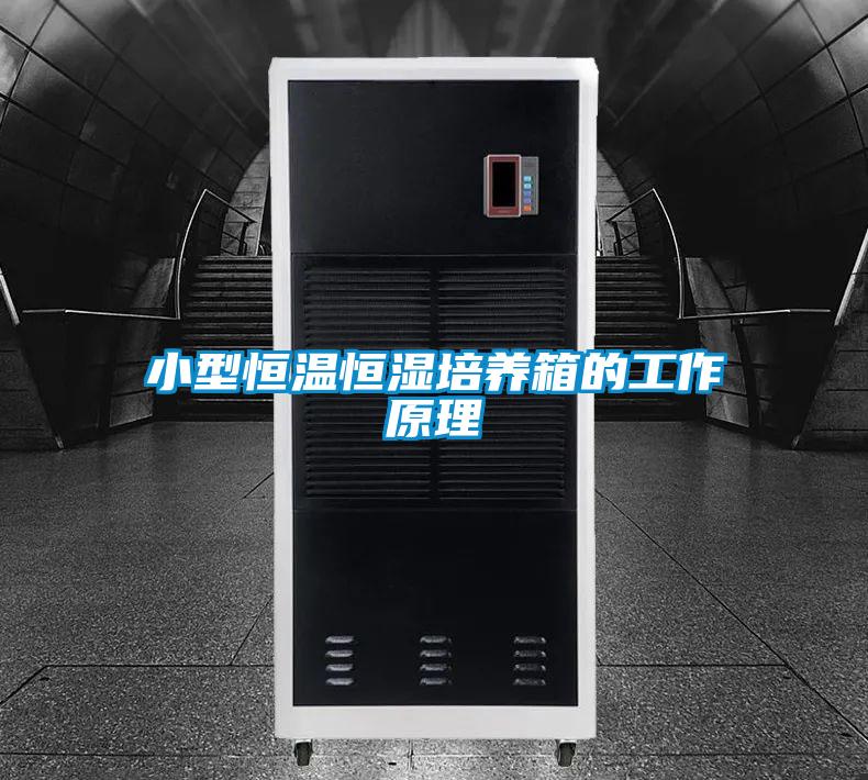 欧美成色手机在线观看 小型恒温恒湿培养箱的工作原理