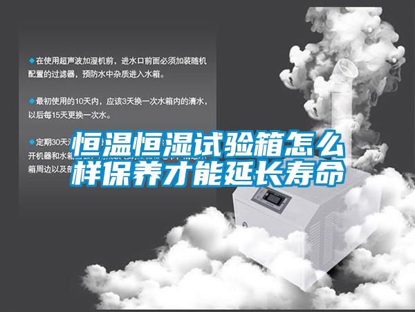 欧美黄色电影在线播放 恒温恒湿试验箱怎么样保养才能延长寿命