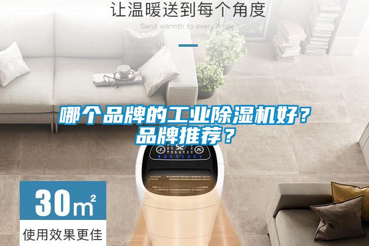 欧美黄色电影在线播放 哪个品牌的工业除湿机好？品牌推荐？