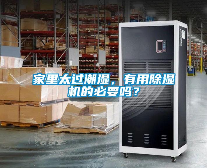 欧美成色手机在线观看 家里太过潮湿，有用除湿机的必要吗？