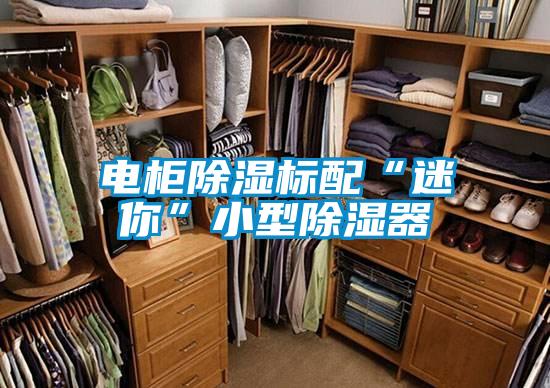 欧美成色手机在线观看 电柜除湿标配“迷你”小型除湿器