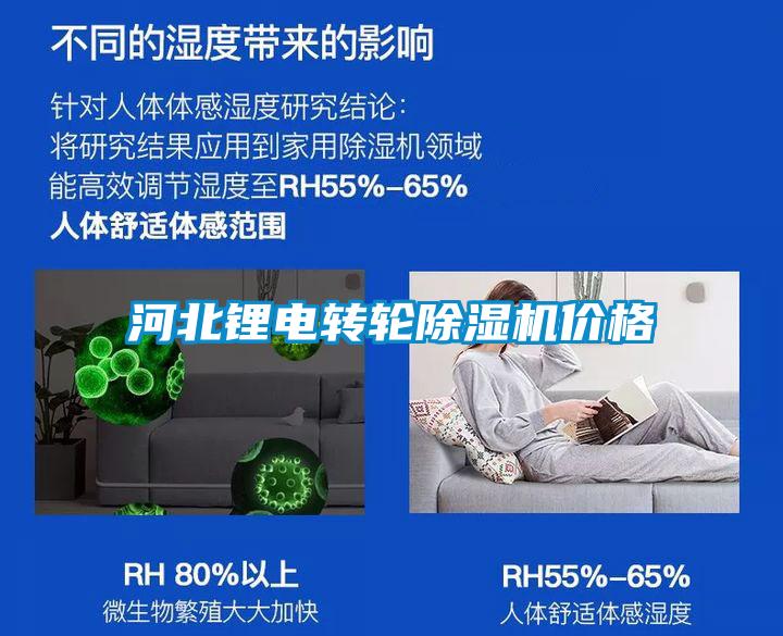 欧美黄色电影在线播放 河北锂电转轮除湿机价格