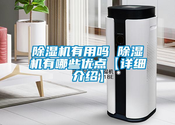 欧美黄色性爱视频网站 除湿机有用吗 除湿机有哪些优点【详细介绍】
