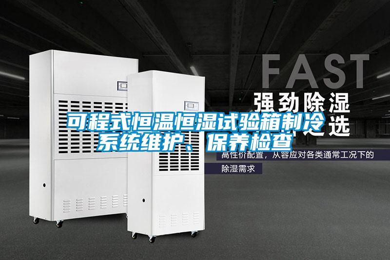 欧美黄色性爱视频网站 可程式恒温恒湿试验箱制冷系统维护、保养检查