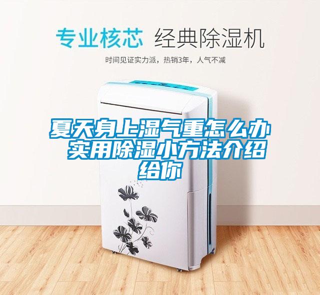 欧美成色手机在线观看 夏天身上湿气重怎么办 实用除湿小方法介绍给你