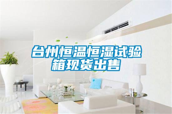欧美黄色电影在线播放 台州恒温恒湿试验箱现货出售