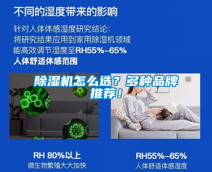 欧美黄色性爱视频网站 除湿机怎么选？多种品牌推荐！