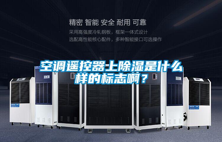 欧美成色手机在线观看 空调遥控器上除湿是什么样的标志啊？