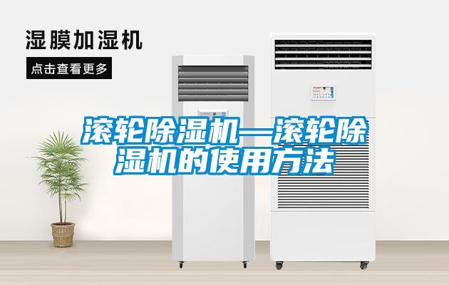 欧美黄色性爱视频网站 滚轮除湿机—滚轮除湿机的使用方法