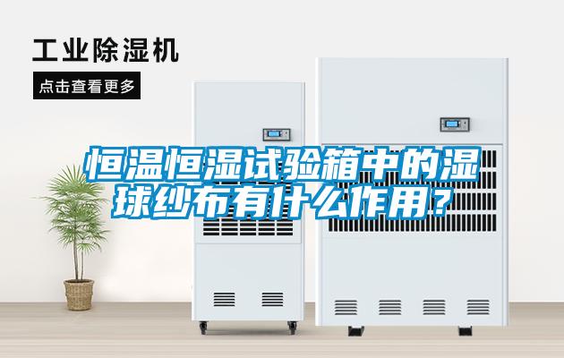 欧美成色手机在线观看 恒温恒湿试验箱中的湿球纱布有什么作用？