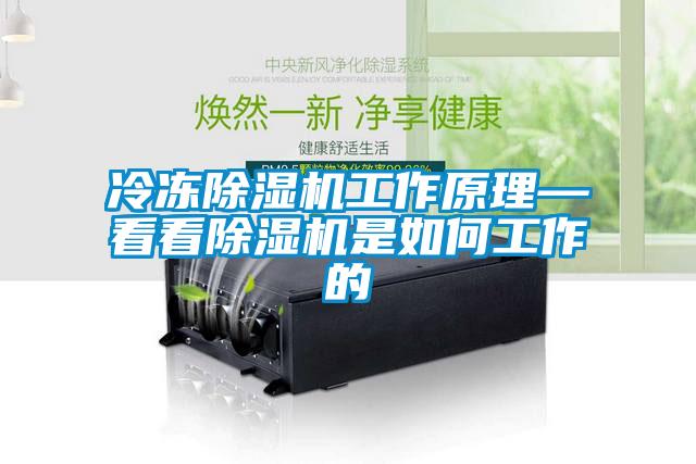 欧美黄色性爱视频网站 冷冻除湿机工作原理—看看除湿机是如何工作的