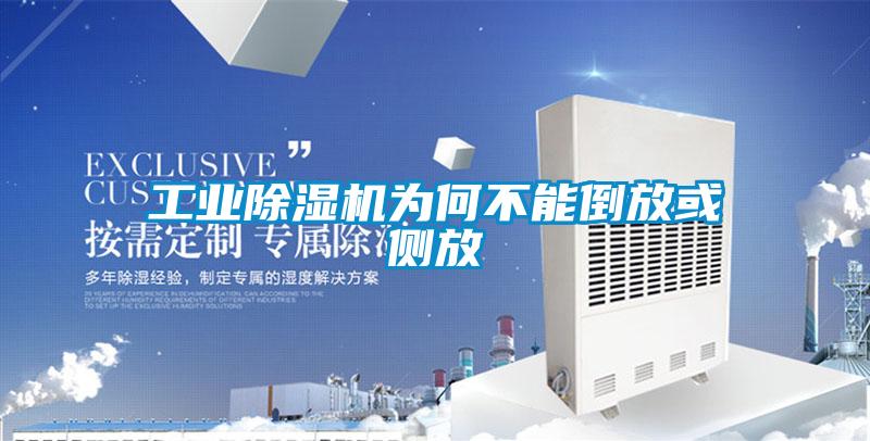欧美成色手机在线观看 工业除湿机为何不能倒放或侧放