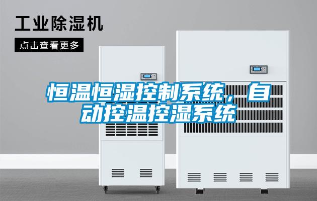 欧美黄色性爱视频网站 恒温恒湿控制系统，自动控温控湿系统