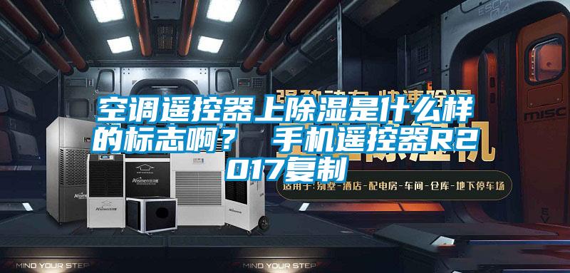 欧美成色手机在线观看 空调遥控器上除湿是什么样的标志啊？ 手机遥控器R2017复制