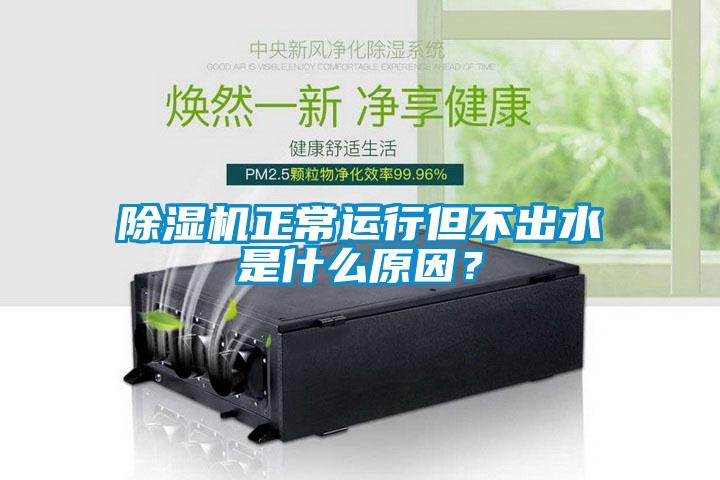 欧美黄色电影在线播放 除湿机正常运行但不出水是什么原因？