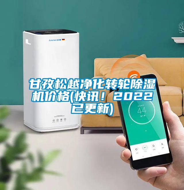 欧美黄色电影在线播放 甘孜松越净化转轮除湿机价格(快讯！2022已更新)