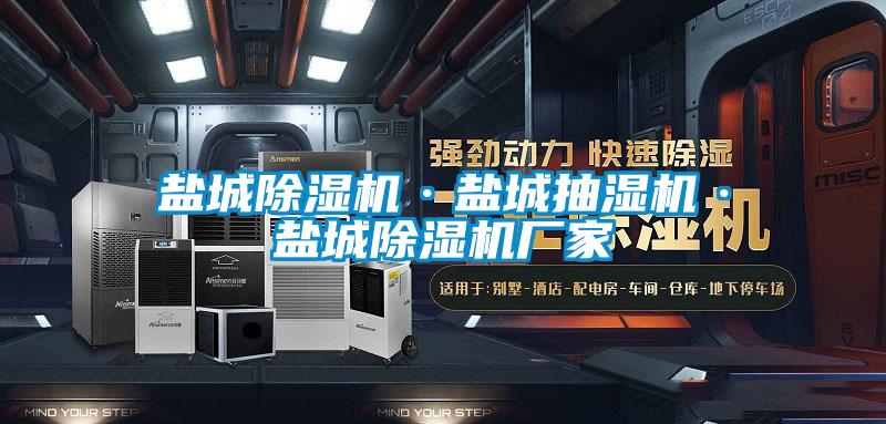 欧美黄色性爱视频网站 盐城除湿机·盐城抽湿机·盐城除湿机厂家