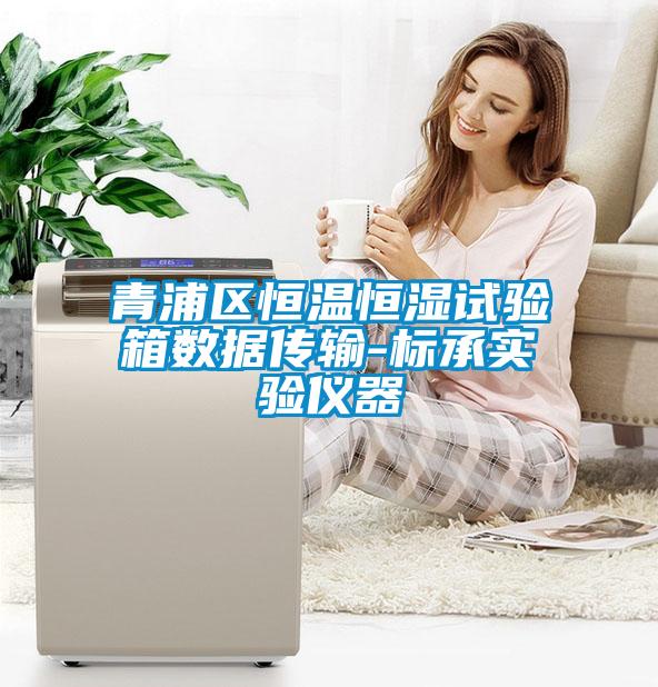 欧美成色手机在线观看 青浦区恒温恒湿试验箱数据传输-标承实验仪器
