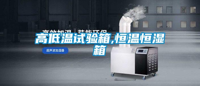 欧美黄色性爱视频网站 高低温试验箱,恒温恒湿箱
