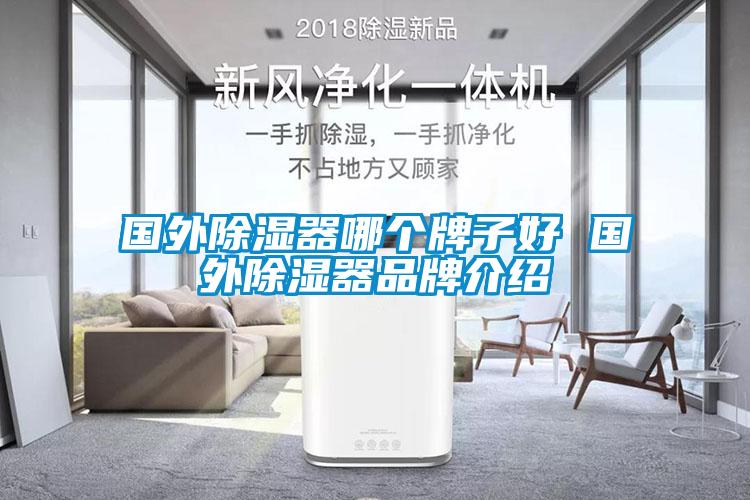 欧美黄色电影在线播放 国外除湿器哪个牌子好 国外除湿器品牌介绍
