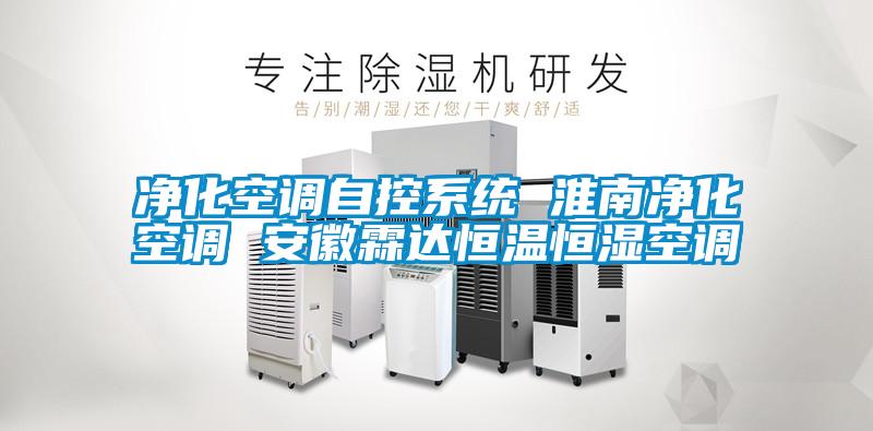 欧美黄色性爱视频网站 净化空调自控系统 淮南净化空调 安徽霖达恒温恒湿空调