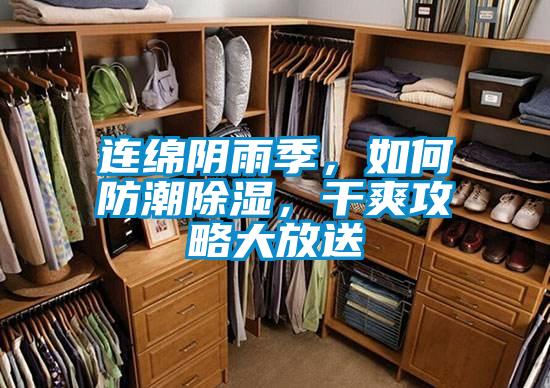 欧美黄色性爱视频网站 连绵阴雨季，如何防潮除湿，干爽攻略大放送