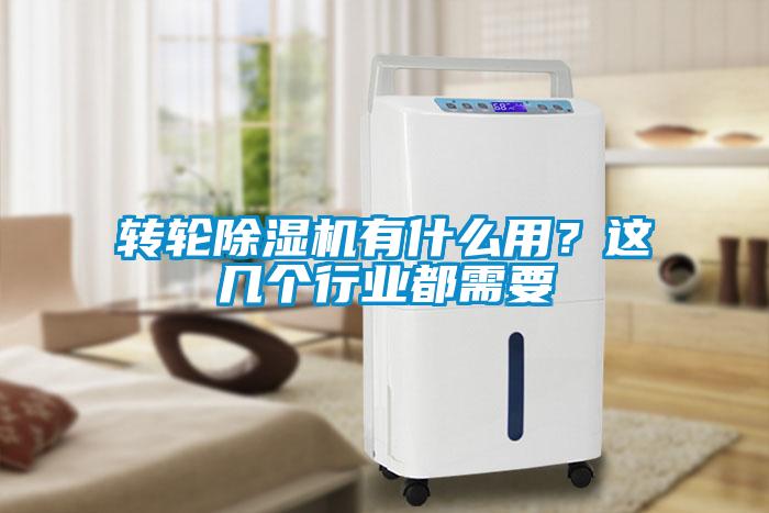 欧美黄色性爱视频网站 转轮除湿机有什么用？这几个行业都需要
