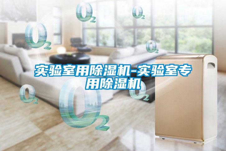 欧美成色手机在线观看 实验室用除湿机-实验室专用除湿机