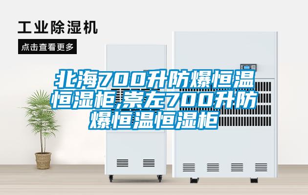 欧美黄色电影在线播放 北海700升防爆恒温恒湿柜,崇左700升防爆恒温恒湿柜