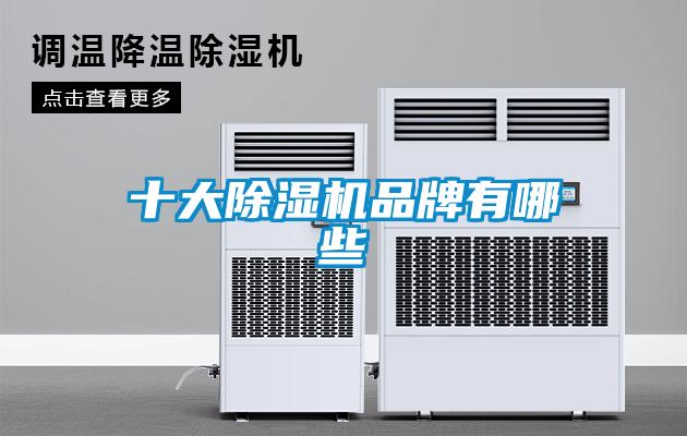 欧美黄色电影在线播放 十大除湿机品牌有哪些