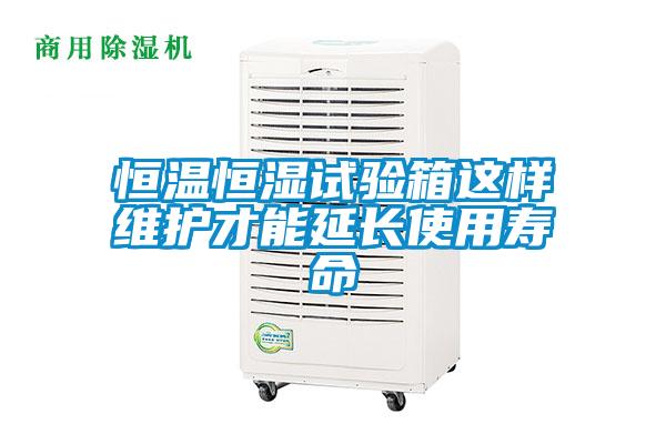 欧美黄色电影在线播放 恒温恒湿试验箱这样维护才能延长使用寿命