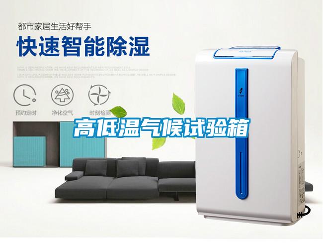 欧美成色手机在线观看 高低温气候试验箱