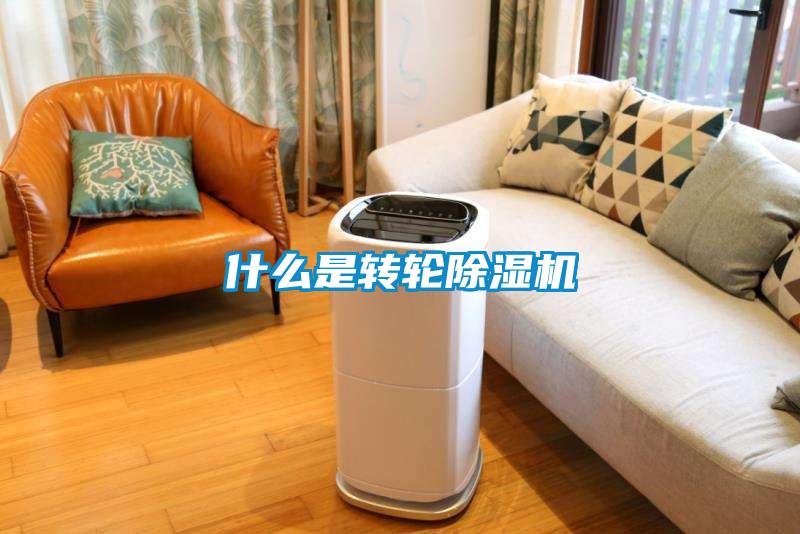 欧美黄色性爱视频网站 什么是转轮除湿机