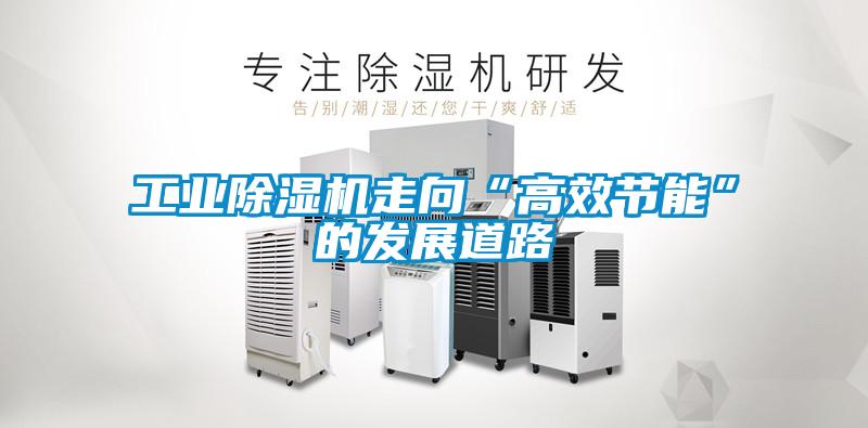 欧美黄色电影在线播放 工业除湿机走向“高效节能”的发展道路