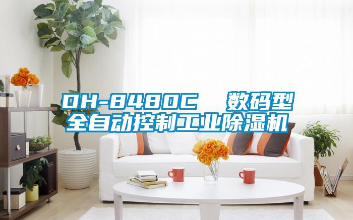 欧美黄色性爱视频网站 DH-8480C  数码型全自动控制工业除湿机