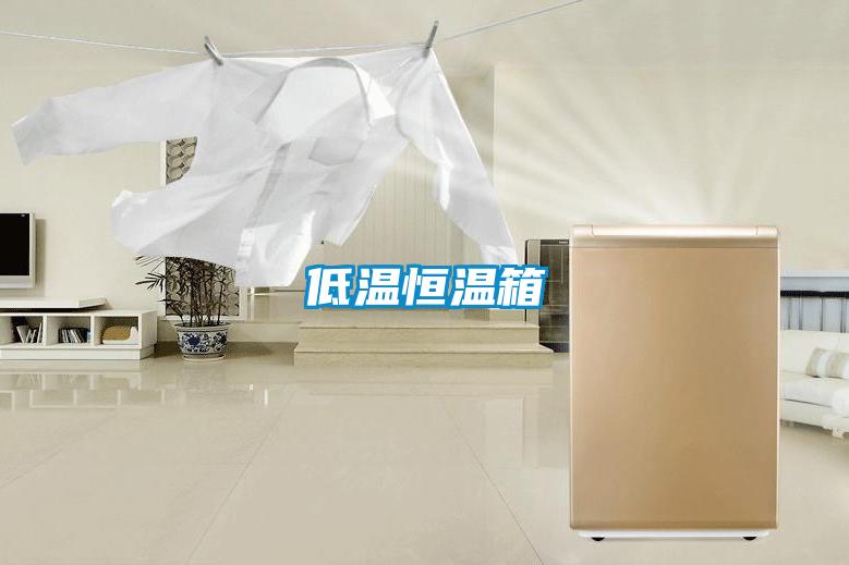 低温恒温箱