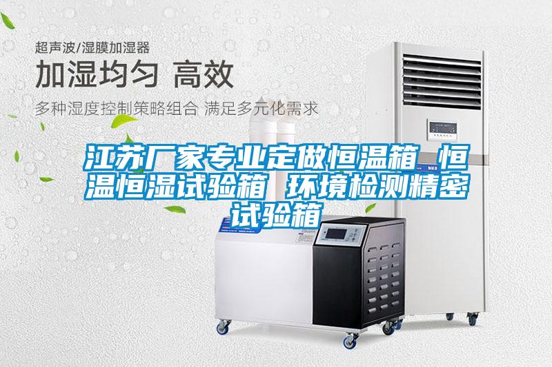 欧美黄色电影在线播放 江苏厂家专业定做恒温箱 恒温恒湿试验箱 环境检测精密试验箱