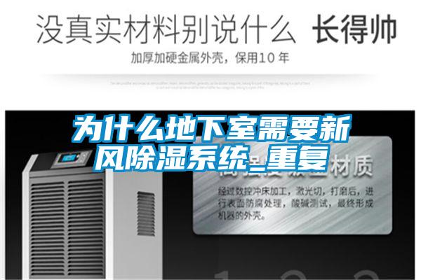 欧美黄色性爱视频网站 为什么地下室需要新风除湿系统_重复