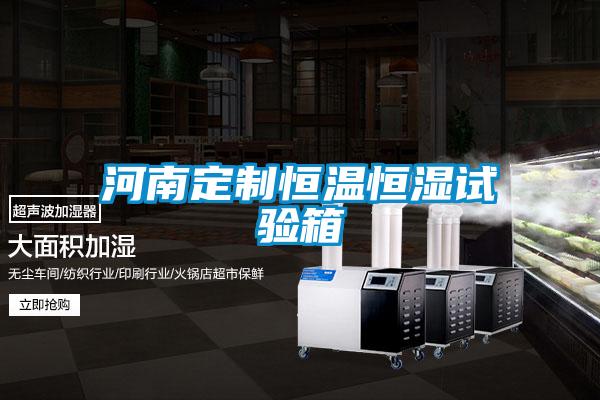 欧美成色手机在线观看 河南定制恒温恒湿试验箱