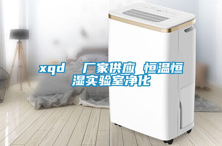 欧美黄色电影在线播放 xqd  厂家供应 恒温恒湿实验室净化