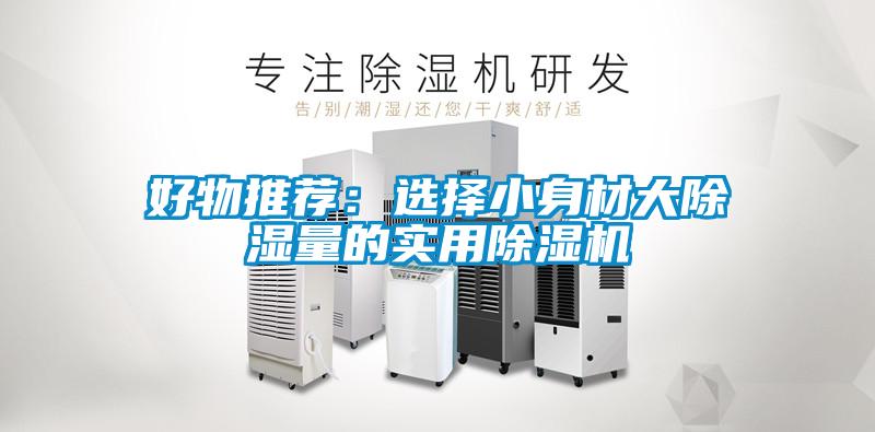 欧美成色手机在线观看 好物推荐：选择小身材大除湿量的实用除湿机