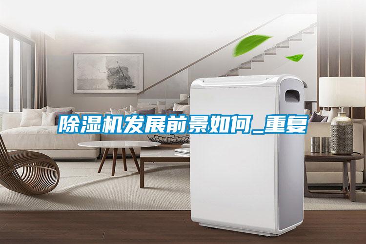 欧美成色手机在线观看 除湿机发展前景如何_重复