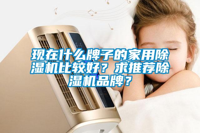 欧美黄色电影在线播放 现在什么牌子的家用除湿机比较好？求推荐除湿机品牌？