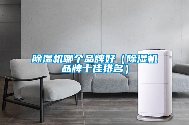 欧美成色手机在线观看 除湿机哪个品牌好（除湿机品牌十佳排名）