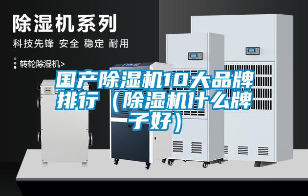 欧美黄色电影在线播放 国产除湿机10大品牌排行（除湿机什么牌子好）